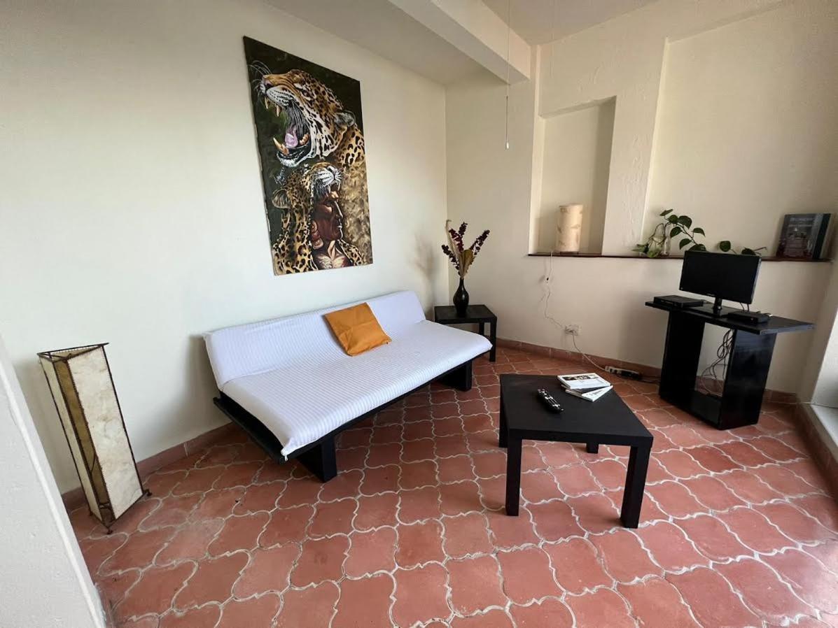 סאן מיגל דה אלנדה Aparthotel Sarita Centro Historico Sma מראה חיצוני תמונה