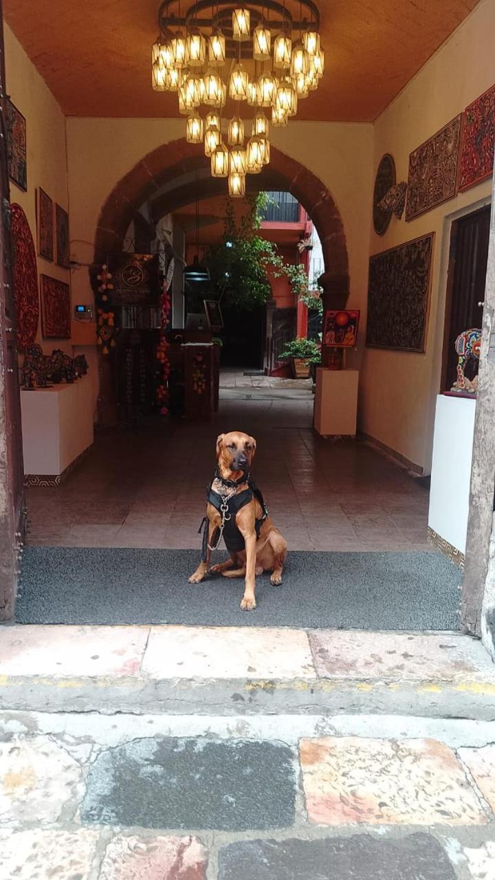סאן מיגל דה אלנדה Aparthotel Sarita Centro Historico Sma מראה חיצוני תמונה